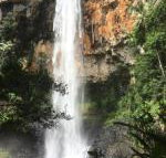 Purling Brook Falls Gwongorella - Accommodation Brisbane
