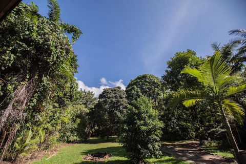 Cape Tribulation Holiday House - Accommodation Brisbane 2