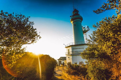 Abaleen House - Accommodation Brisbane 5