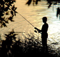 Wooli River Lodges - Accommodation Brisbane