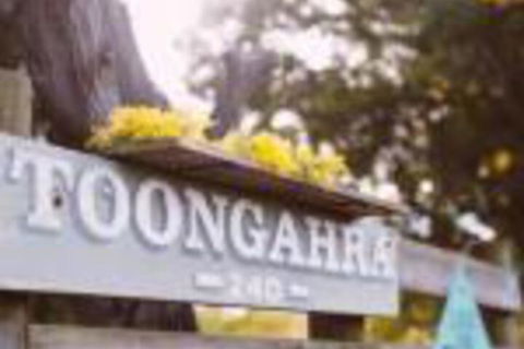 TorquayToongahra BnB - Accommodation Brisbane 0