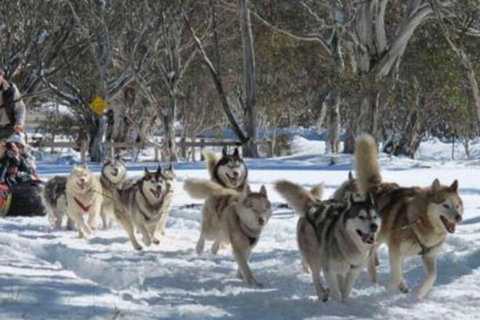 Gundy Lodge - Accommodation Brisbane 5