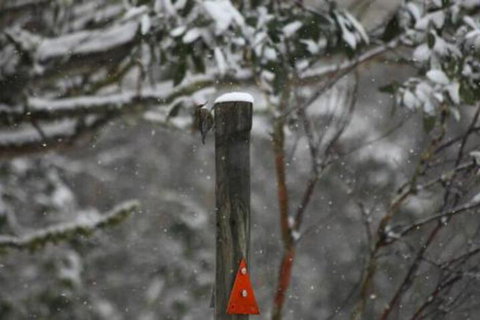 Gundy Lodge - Accommodation Brisbane 3