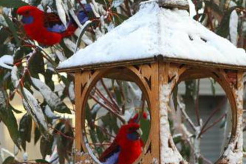 Gundy Lodge - Accommodation Brisbane 6