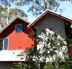 Pelicans at Denmark - Accommodation Brisbane