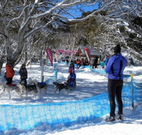 Cloud 9 Alpine Lodge - Accommodation Brisbane