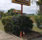 Golden West Motor Inn - Accommodation Brisbane