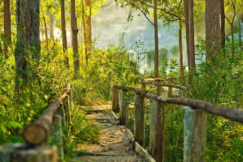 Kianinny Bush Cottages - Accommodation Brisbane 7