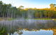 Kianinny Bush Cottages - thumb 5