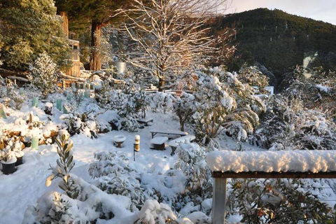 Pipeline Chalet Kunanyi Mt. Wellington - Accommodation Brisbane 4