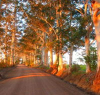 Innisfree Mountain Retreat - Accommodation Brisbane