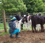 Manderley Park Farmstay B  B - Accommodation Brisbane