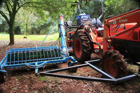 Terania Creek Farmstay - Accommodation Brisbane 4