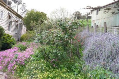 Alvie Cottage - Accommodation Brisbane 1