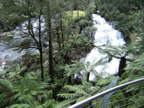 Arabella Country House - Accommodation Brisbane 6