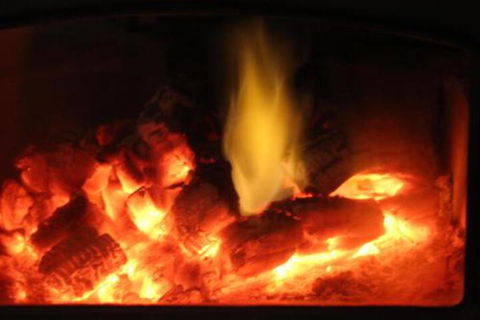 Wattle Grove Homestead Bed & Breakfast - Accommodation Brisbane 1