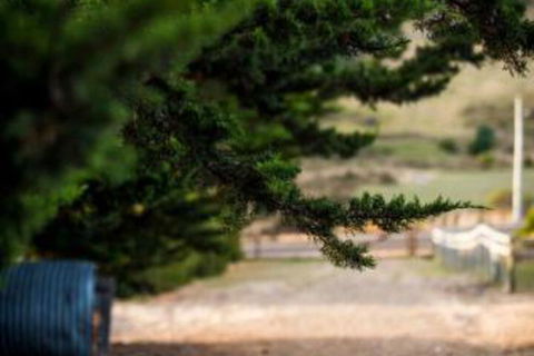 Wattle Grove Homestead Bed & Breakfast - Accommodation Brisbane 5