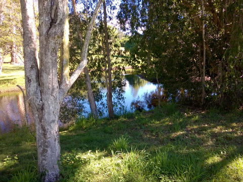 Eumundi Cottages Cottage 1 - Accommodation Brisbane 4