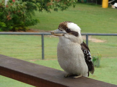 Eumundi Cottages Cottage 1 - Accommodation Brisbane 3