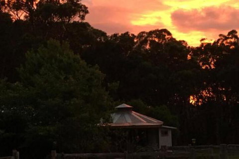 Ionaforest Yurt & Shepherds Hut - Accommodation Brisbane 4