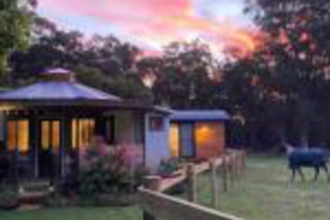 Ionaforest Yurt & Shepherds Hut - Accommodation Brisbane 0