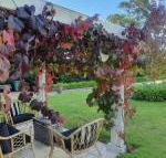 The Cottage - Accommodation Brisbane
