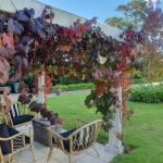 The Cottage - Accommodation Brisbane 0
