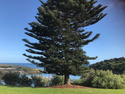 Penneshaw Oceanview Apartments - Accommodation Brisbane 5