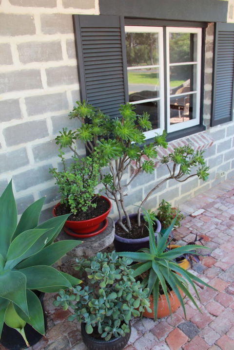 Bakehouse '38 Restaurant & Guesthouse - Accommodation Brisbane 2