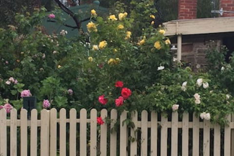 Blyth Cottage Burra - Accommodation Brisbane 0