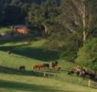 Amaroo Valley Springs - Accommodation Brisbane