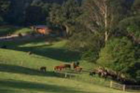 Amaroo Valley Springs - Accommodation Brisbane 0