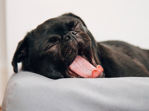 Abode Murrumbateman - Accommodation Brisbane 6