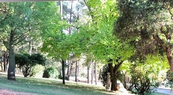 Eemnes Park Estate - Accommodation Brisbane 6