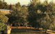 Eemnes Park Estate - thumb 4