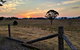 Ironbark Estate - thumb 7