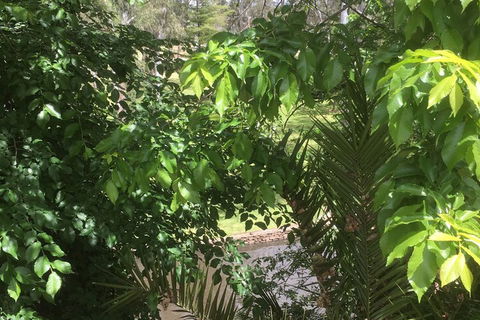 Central Wangaratta Motel - Accommodation Brisbane 3