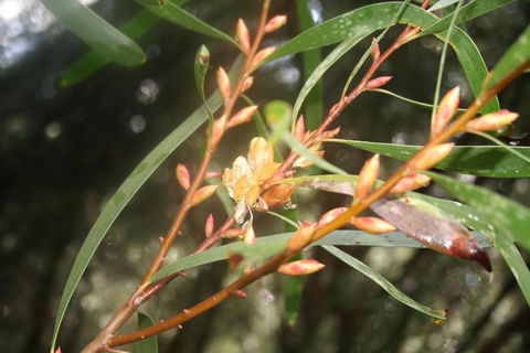 Heavenly Retreat - Accommodation Brisbane 5