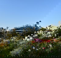 Labertouche Gypsy Creek Winery - Accommodation Brisbane
