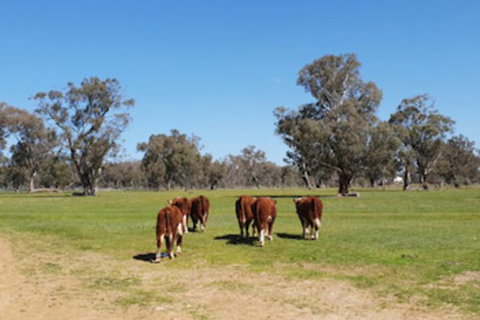 Jindera Park - Accommodation Brisbane 0