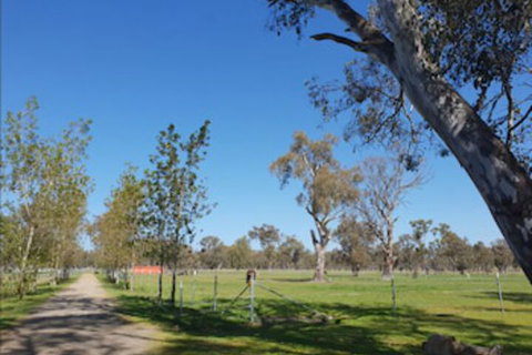 Jindera Park - Accommodation Brisbane 1