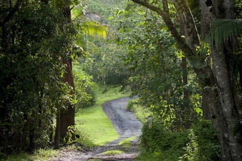 Nimbin Waterfall Retreat - Accommodation Brisbane 1