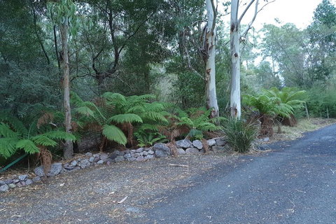 Roland B&B - Accommodation Brisbane 4