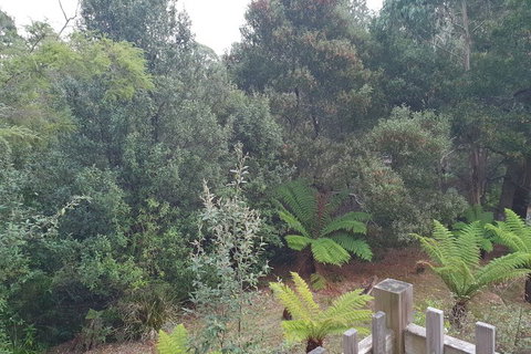 Roland B&B - Accommodation Brisbane 1