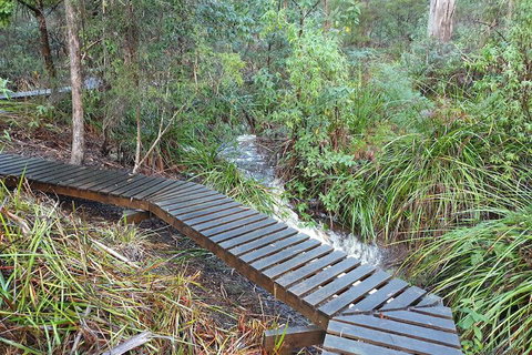 Roland B&B - Accommodation Brisbane 6