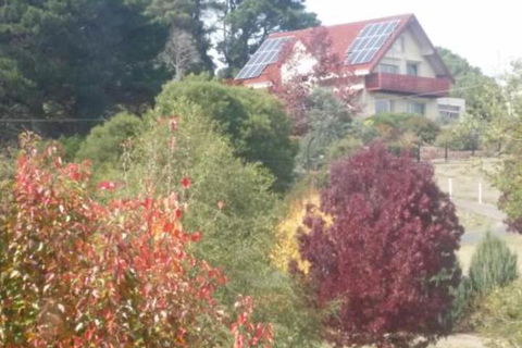 Abelia BIG SPA NO 1 Cottage - Accommodation Brisbane 2