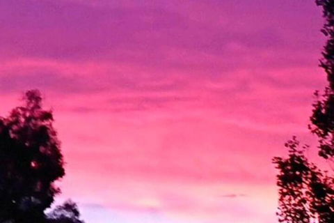 Abelia BIG SPA NO 1 Cottage - Accommodation Brisbane 6