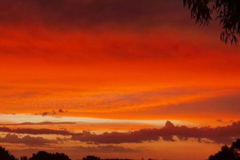 Abelia BIG SPA NO 1 Cottage - Accommodation Brisbane 4