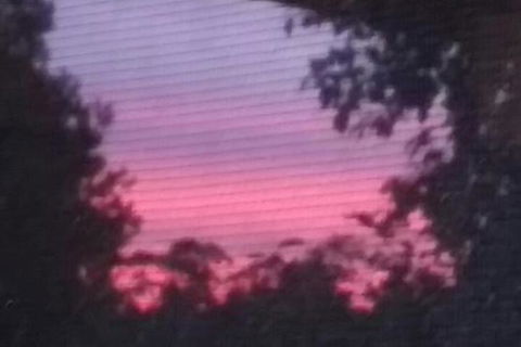 Abelia BIG SPA NO 1 Cottage - Accommodation Brisbane 7