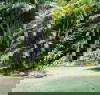 Sanctuary in The Pocket - Accommodation Brisbane